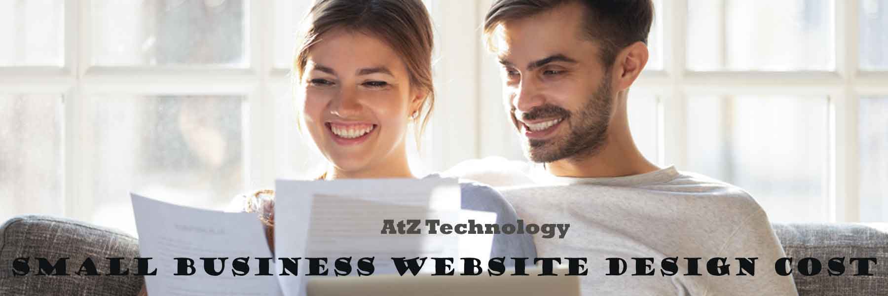 Small Business Website Design Cost