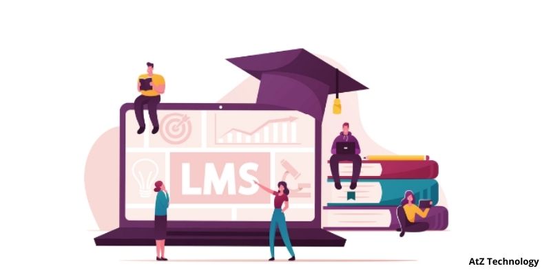 What Makes a Theme Good for an LMS WordPress Website?