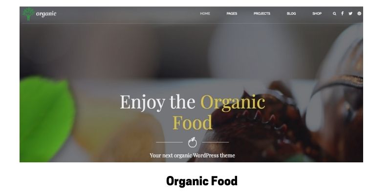 Organic Food: Best Health Supplements WordPress Theme