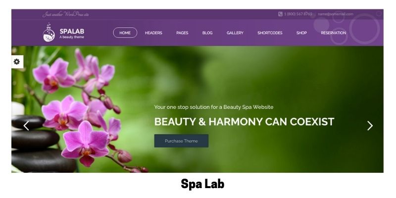 Spa Lab: Best Health Supplements WordPress Theme