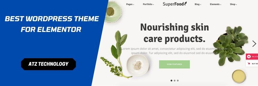 What IBest Online Grocery Store WordPress Themes