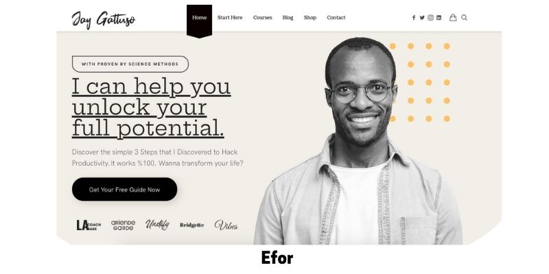 Efor: Best WordPress Themes for Life Coaches